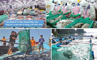 Bài 3. Viện Kinh tế và Quy hoạch Thủy sản: Tăng tốc và bứt phá 6 tháng cuối năm 2025